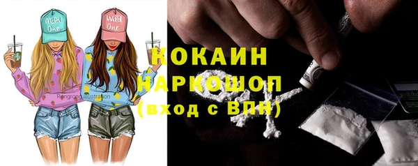 шишки Баксан