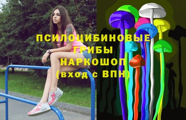 шишки Баксан