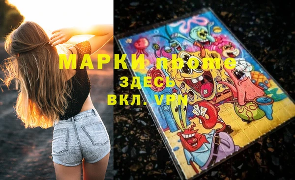 шишки Баксан