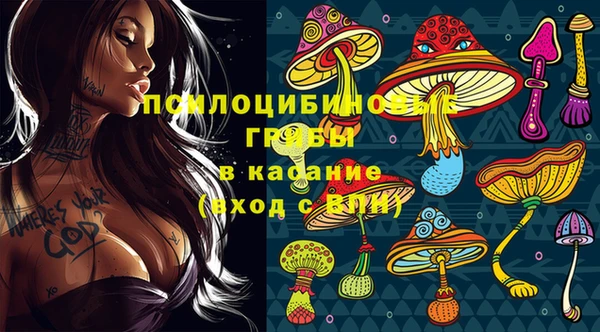 молекула духа Балахна