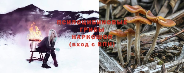 jwh Сосновый Бор