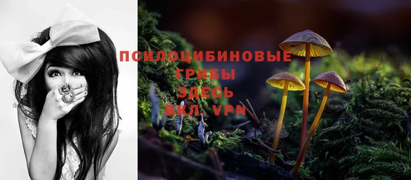 молекула духа Балахна