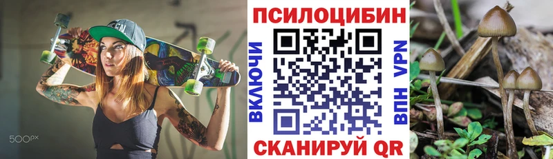 где купить наркоту  кракен как войти  Галлюциногенные грибы Cubensis  Белинский 